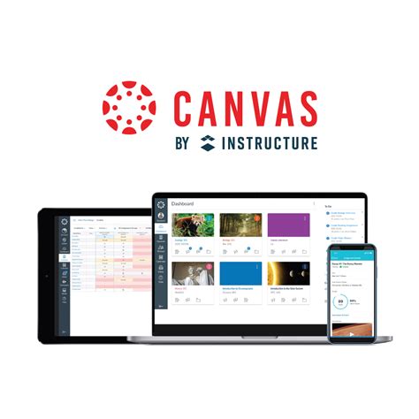 canvas lms.